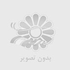 تعمير برد پكيج برند وايلانت